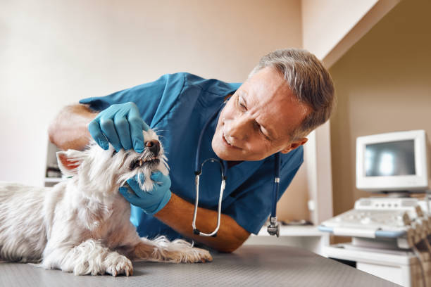 Best Emergency Dental Surgery in Mercedes, TX